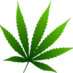 Profile Picture of Natural H. Remedies (@NatHerbRem) on Twitter