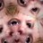 gjanky's profile image