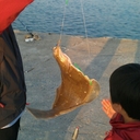 bruce kang - @kite7579 - Twitter