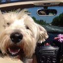 Jason Ingham - @jaseing - Twitter