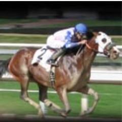 PROFITS EVERY MONTH & NO SCAMMING with all our Selections PROOFED . Check our website for Details