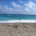 Barbara birch - @barbarabirch124 - Twitter