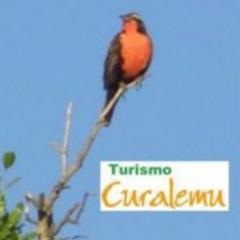 Empresa turística de Antuco que entrega hospedaje en cabañas, salón de eventos y encadenamiento con prestadores de servicios de trekking, canopy, entre otros.