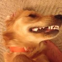 Jay Cook - @safety_goat - Twitter