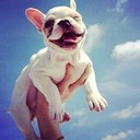 Eli Andrea - @Elian_Andrea - Twitter