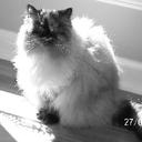 Jennifer Hensley - @JenHensley1996 - Twitter