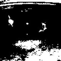 sbc4bird's profile picture. 