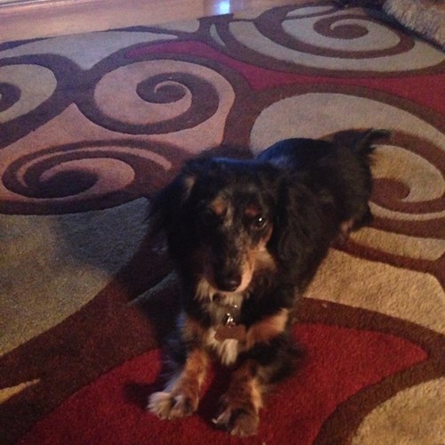 SlimLake's profile picture. 