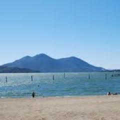 konoctidan's profile picture. 