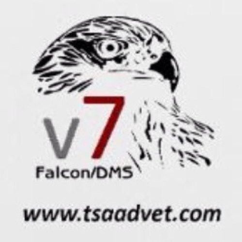 Developers of Falcon/DMS & our related family of EDMS products. Supplying quality solutions for over 30 years.