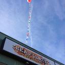 Trent Steele - @TrentSteele4 - Twitter