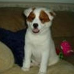 hatemyex13's profile picture. 