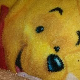 Veterinaria ocupada en el bienestar de los animales y las personas