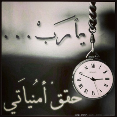 jmoool117's profile picture. 