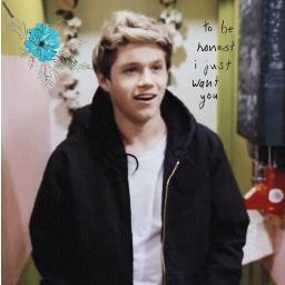 flippyniall's profile picture. saved fuck yeah follow @chardonarry bc im cool