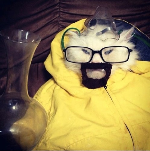 I like music and the internet. derf.