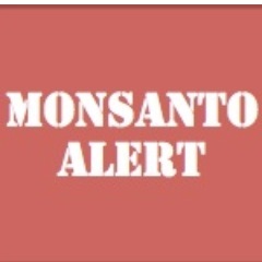 Dedicated to exposing the side of Monsanto that the mainstream media won't report on