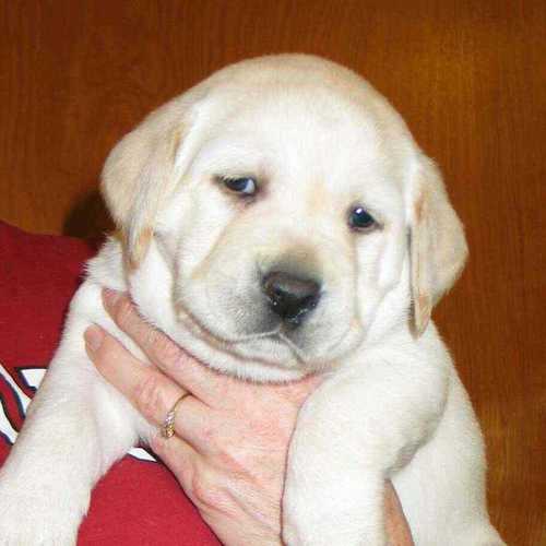 forreals75's profile picture. 