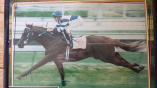 Horse Racing fanatic.  Music fanatic.