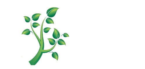 Movimiento para la protección y conservación del bosque y ecosistema de la Quebrada La Zúñiga