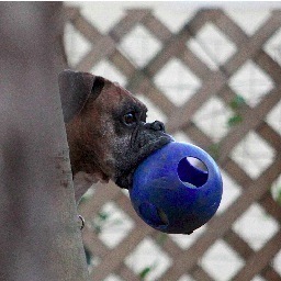 tlcatl's profile picture. Independent Photojournalist. Nature/Animal Photographer. Georgia native. Love all things historical...or is that hysterical.