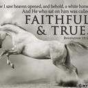 Crystal Kaiser - @casara2007 - Twitter