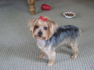 GayleGbg1113's profile picture. 