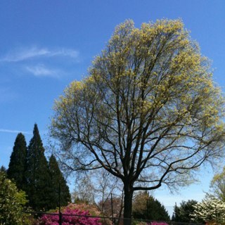 4602park's profile picture. 