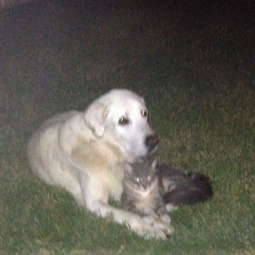 soberseason's profile picture. 