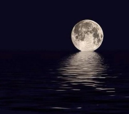 Adore silence ♡♡'