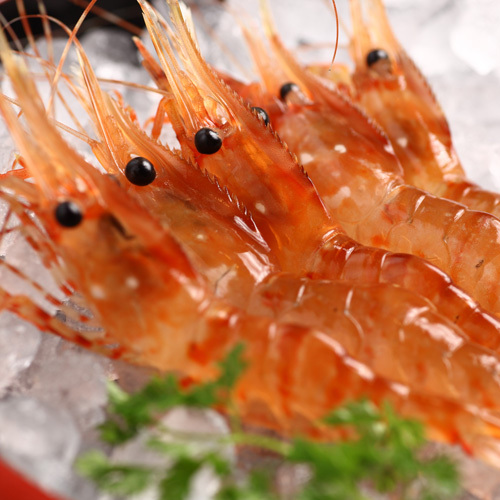 sanchoku_north's profile picture. 札幌駅徒歩１分◆完全個室２〜160名様まで46部屋完備！
北海道各地の新鮮な魚介類をはじめとして、旬の野菜・果物などの食材を豪快にお楽しみいただけるのが、ここ「産地直送 北海道」！ その日おろしたての新鮮な生マグロの赤身・漬・トロの食べ比べや、新鮮な活エビ（ボタンエビ・車エビ）の踊り食いがおすすめ！