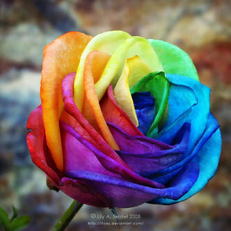 Maureen1305's profile picture. 