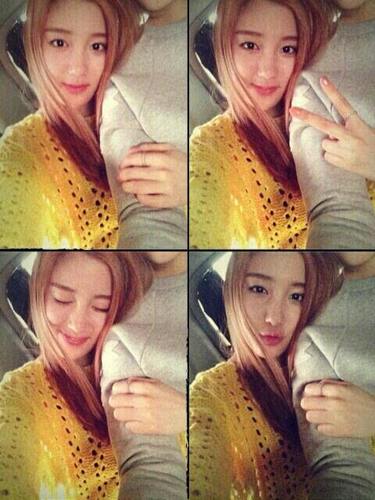 fakesjisu Profile Picture