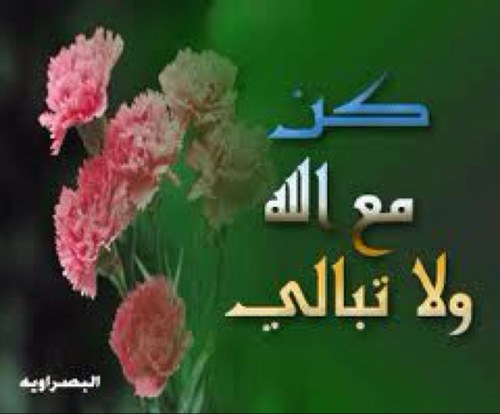 ما ليس يدفعه المهند مصلتا لا الكتب تدفعه ولا الأقلام                                                             وترد بالدم بقعة أخذت به ويموت دون عرينه الضرغام