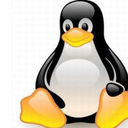 kplikuningan's profile picture. Komunitas Pengguna Linux Kabupaten Kuningan