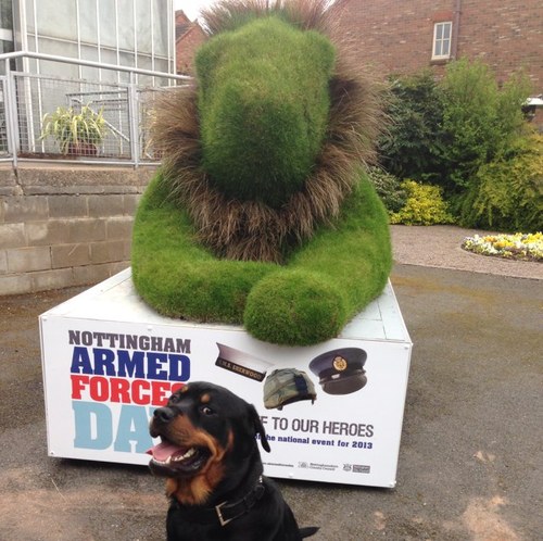 joes_dj's profile picture. 