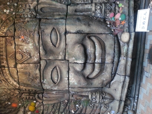 vnext0120's profile picture. 