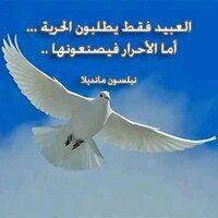 يمنيه اصيله  (@m_sun16) 's Twitter Profile