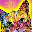 Donna Poore Shook - @BebeShook - Twitter