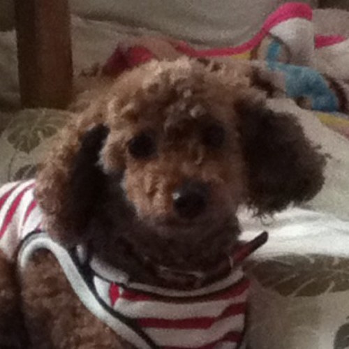 hoyatayama's profile picture. 高校生です。つまんないです(｡-_-｡) フォローされたらふぉろばします 相互希望でー。 

音楽/漫画/バスケ/野球/アメトーク
フォローミー☆