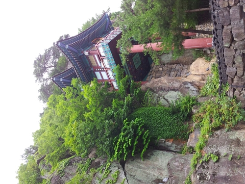 kjj49302288's profile picture. 