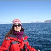 Helen Phillips (@helenherself) 's Twitter Profile