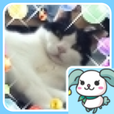 チャムマミヤライカ