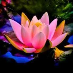 Blooming life !!  soul,mind,dance, yoga,fashion,