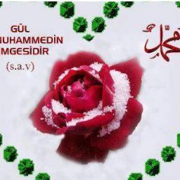 Eşref-i Mahlukat, yani insanım, Müslümanım ve Kürdüm....