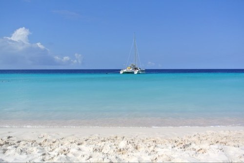 Sylvia_Aardema's profile picture. 