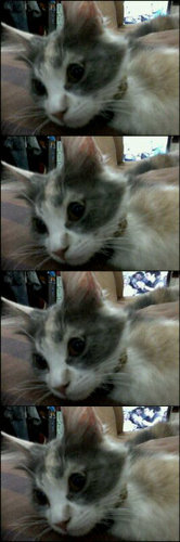 Ganti Account » @JasmineZHarahap