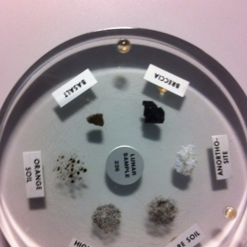 buzmand's profile picture. 