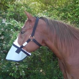 I am a  horse enthusiast, I invented the nose shade for horses with white muzzles and added many 90% UV protection products including an eye saver system!