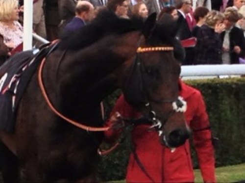 WilliamsPlum's profile picture. 